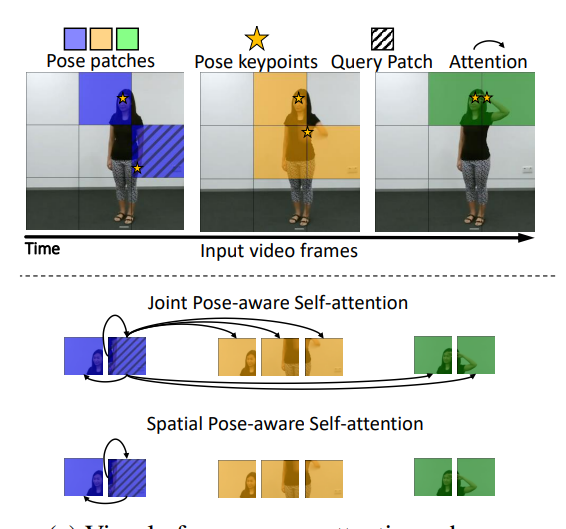 Seeing the Pose in the Pixels: Learning Pose-Aware Representations in Vision Transformers