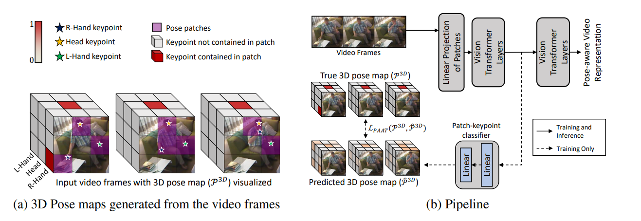 Seeing the Pose in the Pixels: Learning Pose-Aware Representations in Vision Transformers