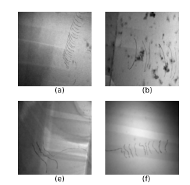 Deep Learning of Crystalline Defects from TEM images: A Solution for the Problem of “Never Enough Training Data”