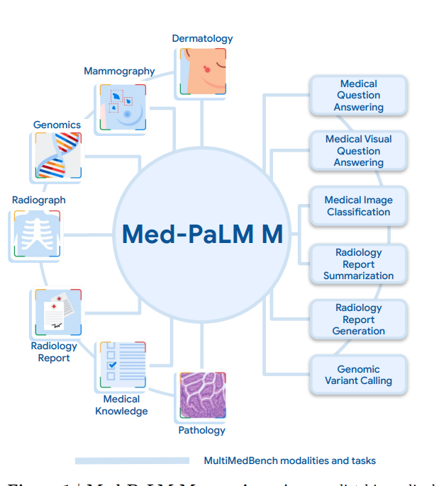 Towards Generalist Biomedical AI