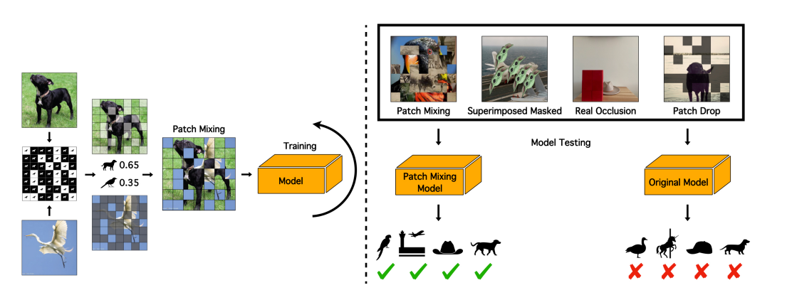 Hardwiring ViT Patch Selectivity into CNNs using Patch Mixing