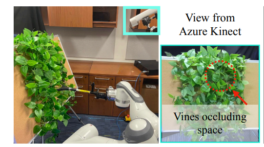 Push Past Green: Learning to Look Behind Plant Foliage by Moving It